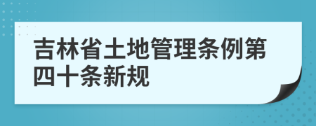 吉林省土地管理条例第四十条新规