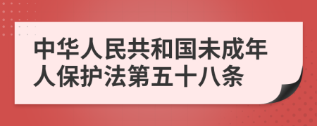 中华人民共和国未成年人保护法第五十八条