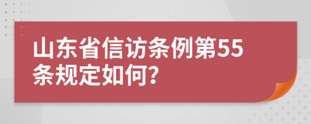 山东省信访条例第55条规定如何？