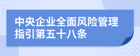 中央企业全面风险管理指引第五十八条