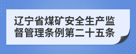 辽宁省煤矿安全生产监督管理条例第二十五条