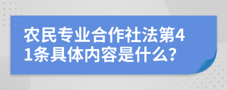 农民专业合作社法第41条具体内容是什么？