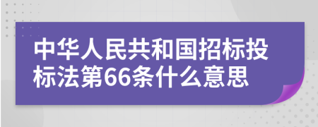 中华人民共和国招标投标法第66条什么意思