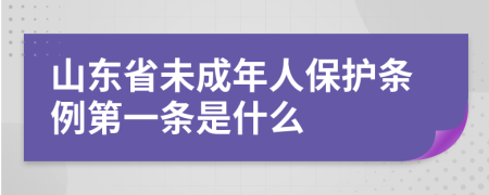 山东省未成年人保护条例第一条是什么