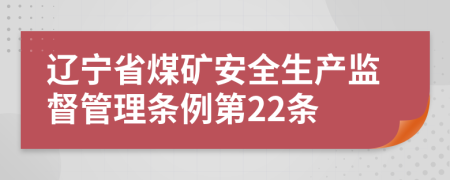 辽宁省煤矿安全生产监督管理条例第22条