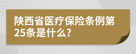 陕西省医疗保险条例第25条是什么?