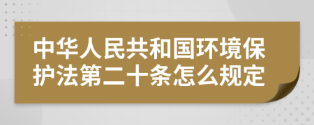 中华人民共和国环境保护法第二十条怎么规定