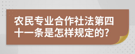 农民专业合作社法第四十一条是怎样规定的?