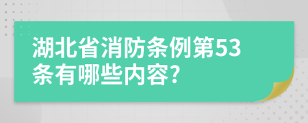 湖北省消防条例第53条有哪些内容?