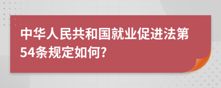 中华人民共和国就业促进法第54条规定如何?