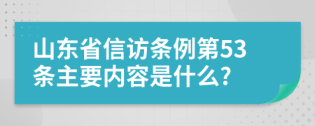 山东省信访条例第53条主要内容是什么?