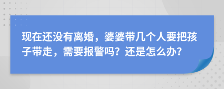 现在还没有离婚，婆婆带几个人要把孩子带走，需要报警吗？还是怎么办？