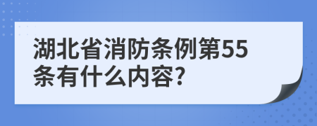 湖北省消防条例第55条有什么内容?