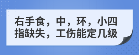 右手食，中，环，小四指缺失，工伤能定几级