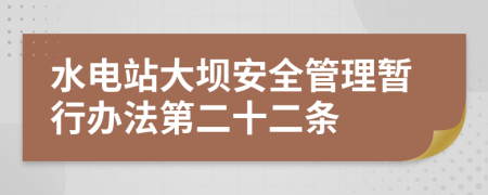 水电站大坝安全管理暂行办法第二十二条