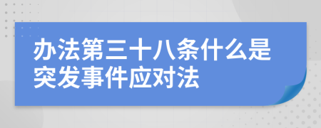 办法第三十八条什么是突发事件应对法