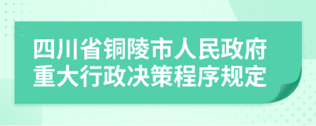 四川省铜陵市人民政府重大行政决策程序规定