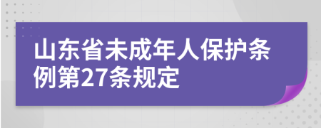 山东省未成年人保护条例第27条规定