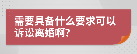 需要具备什么要求可以诉讼离婚啊？