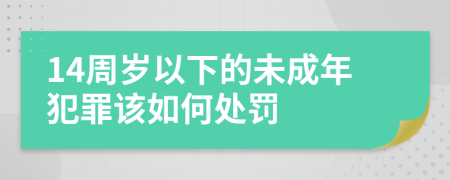 14周岁以下的未成年犯罪该如何处罚