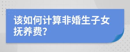 该如何计算非婚生子女抚养费？