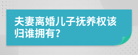 夫妻离婚儿子抚养权该归谁拥有？