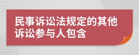 民事诉讼法规定的其他诉讼参与人包含