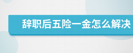 辞职后五险一金怎么解决