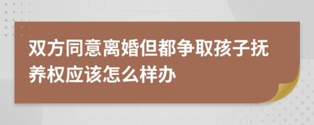 双方同意离婚但都争取孩子抚养权应该怎么样办