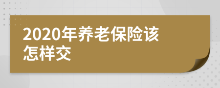 2020年养老保险该怎样交