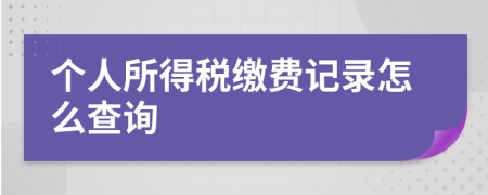 个人所得税缴费记录怎么查询