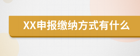 XX申报缴纳方式有什么