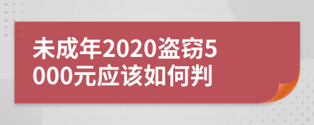 未成年2020盗窃5000元应该如何判