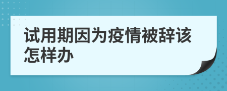 试用期因为疫情被辞该怎样办