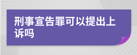 刑事宣告罪可以提出上诉吗