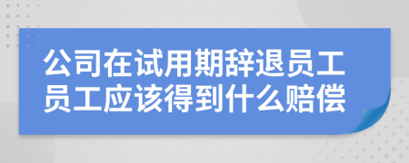 公司在试用期辞退员工员工应该得到什么赔偿