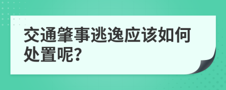 交通肇事逃逸应该如何处置呢？