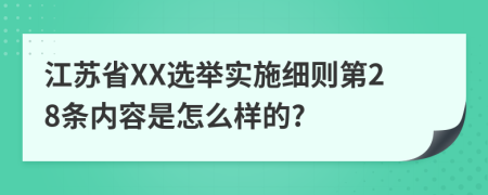 江苏省XX选举实施细则第28条内容是怎么样的?