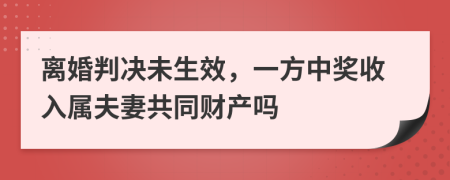 离婚判决未生效，一方中奖收入属夫妻共同财产吗