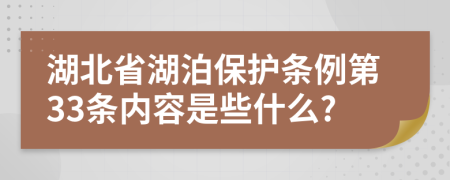 湖北省湖泊保护条例第33条内容是些什么?