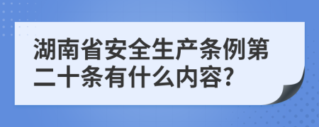 湖南省安全生产条例第二十条有什么内容?