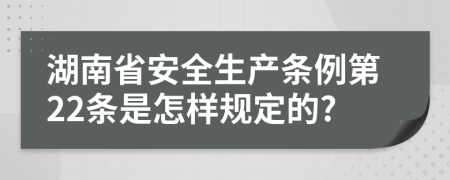 湖南省安全生产条例第22条是怎样规定的?