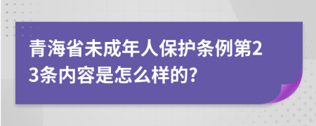 青海省未成年人保护条例第23条内容是怎么样的?