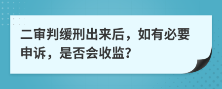 二审判缓刑出来后，如有必要申诉，是否会收监？