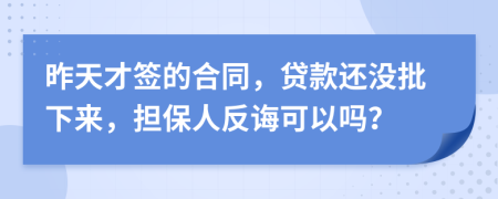 昨天才签的合同，贷款还没批下来，担保人反诲可以吗？