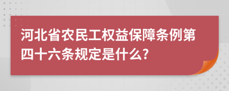 河北省农民工权益保障条例第四十六条规定是什么?