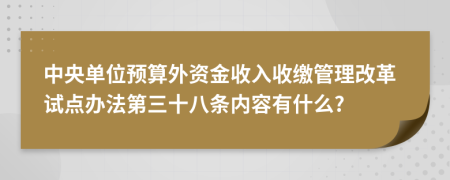 中央单位预算外资金收入收缴管理改革试点办法第三十八条内容有什么?