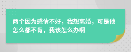 两个因为感情不好，我想离婚，可是他怎么都不肯，我该怎么办啊