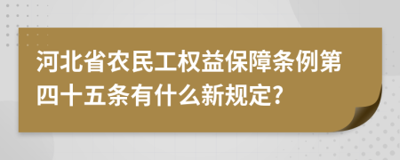 河北省农民工权益保障条例第四十五条有什么新规定?