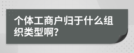 个体工商户归于什么组织类型啊？